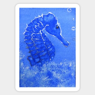 Seahorse Sticker